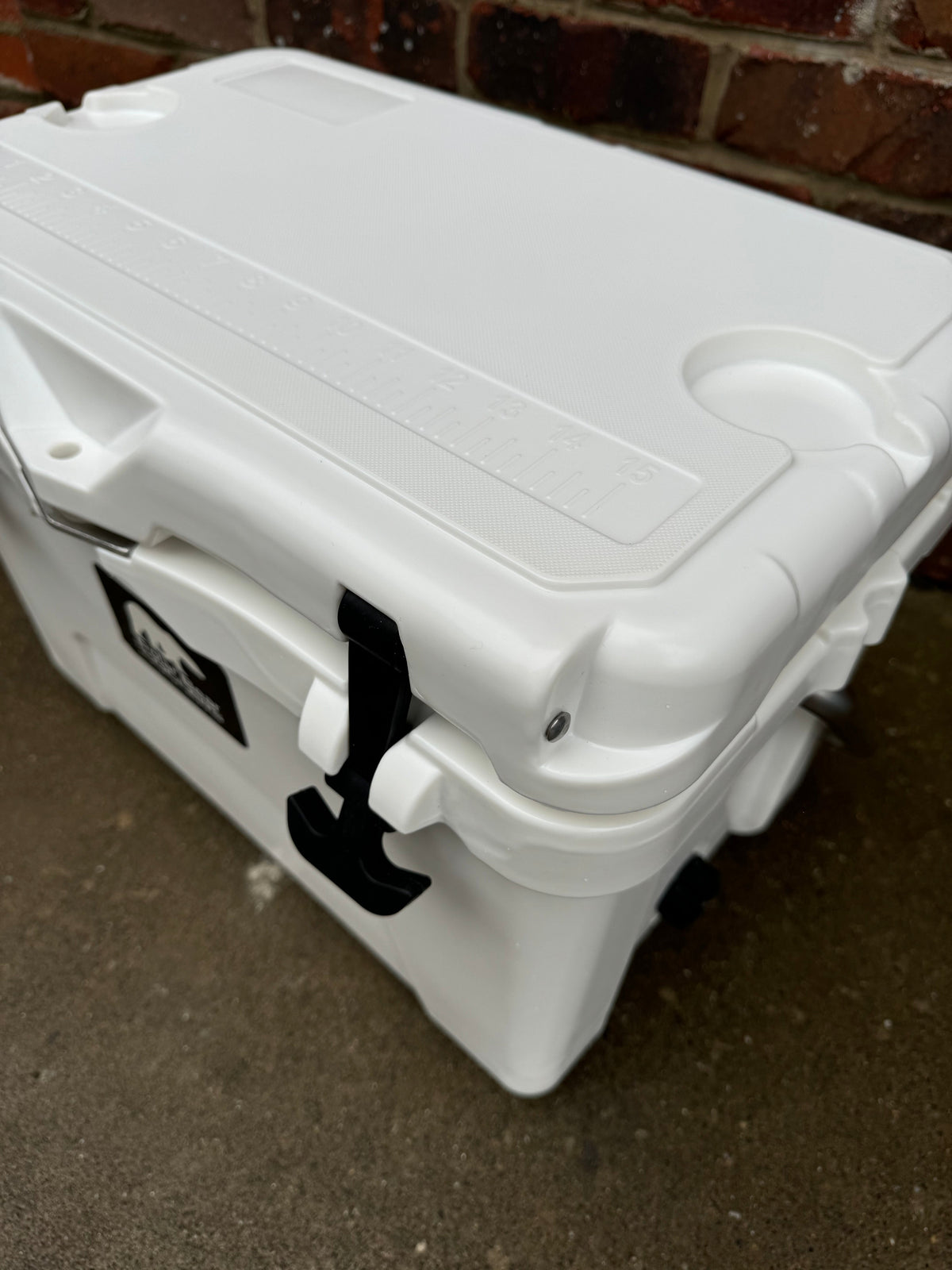 Polar Bear 20 Hard Cooler