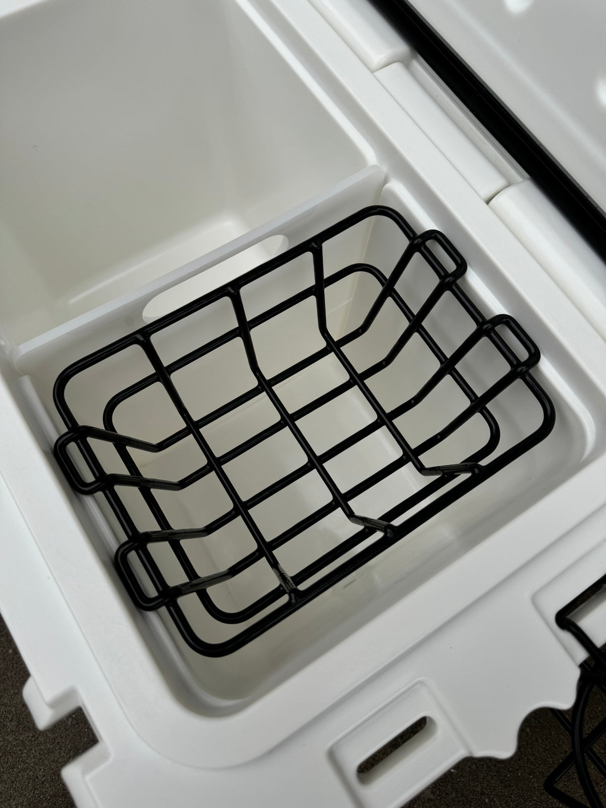 Polar Bear 20 Hard Cooler